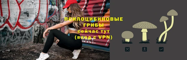 дурь Армянск