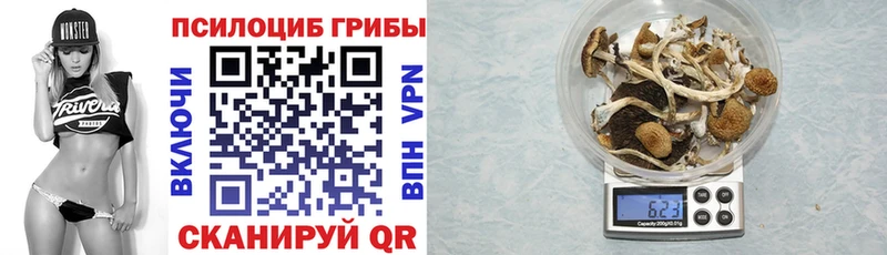купить  цена  Вичуга  shop как зайти  Псилоцибиновые грибы Cubensis 